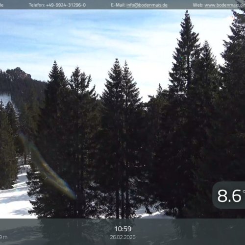 Bodenmais Chamer Hütte Live: Bavarian Forest Mountain Views