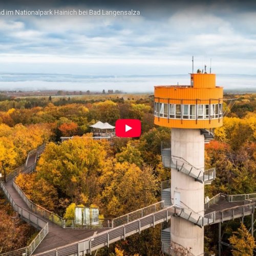Hainich National Park Treetop Walk Live Cam | Bad Langensalza, Germany