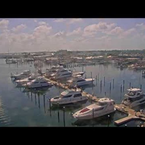 Key West Bight Harbor & Marina Live View