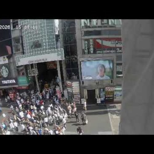 Dotonbori Osaka Live Webcam: Glimpse Japan's Vibrant Heart