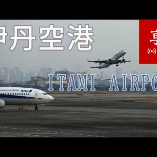Itami Airport Plane Spotting | Live View from Japan