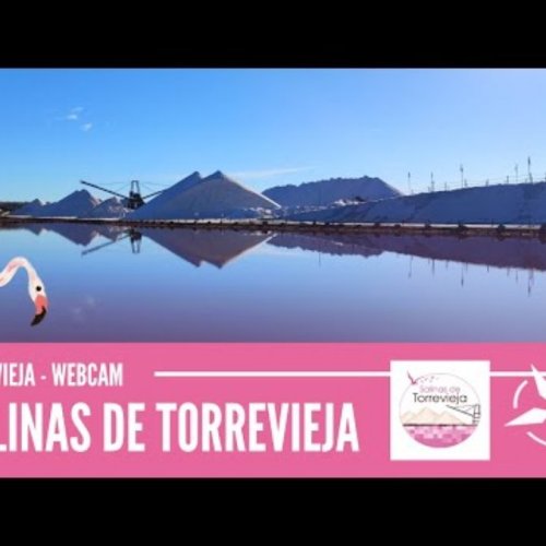 Salinas de Torrevieja: Pink Saltwater Lakes Live Webcam