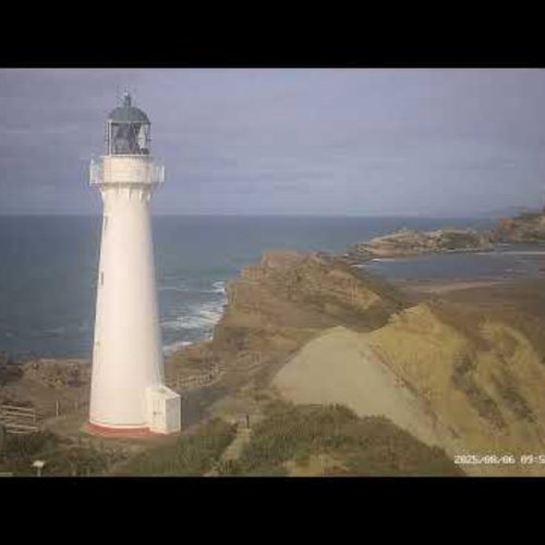 Castlepoint Lighthouse: Live Coastal Views, New Zealand