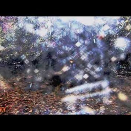 Climbers Run Nature Center Pequea Live Cam, Mount Nebo