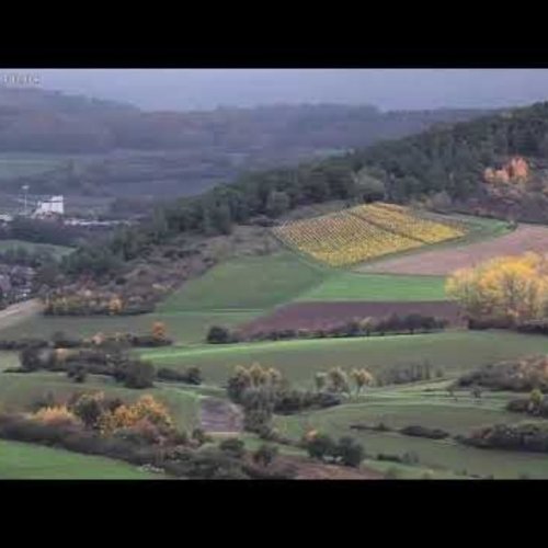 Hammelburg Panorama Live: Scenic Views of Franconian Wine Country