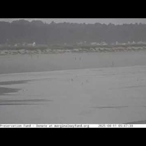 Live Ogunquit Beach Webcam: Maine Coast Views