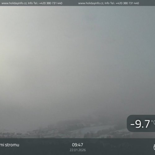 Live Views from Lipno Treetop Walkway, Czechia