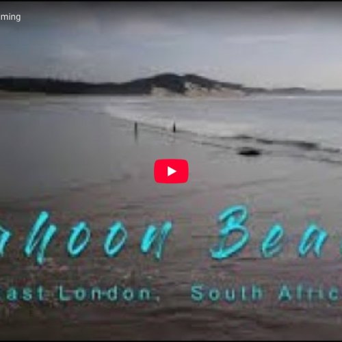 Nahoon Beach Live Webcam: East London, South Africa Coastal View