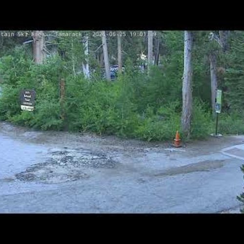 Mammoth Mountain Tamarack Slopes & Forest Live View