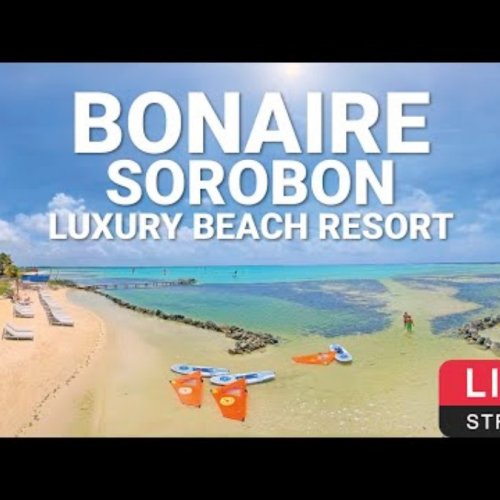 Dunkerbeck Pro Center Bonaire Live Webcam: Sorobon Beach Resort View