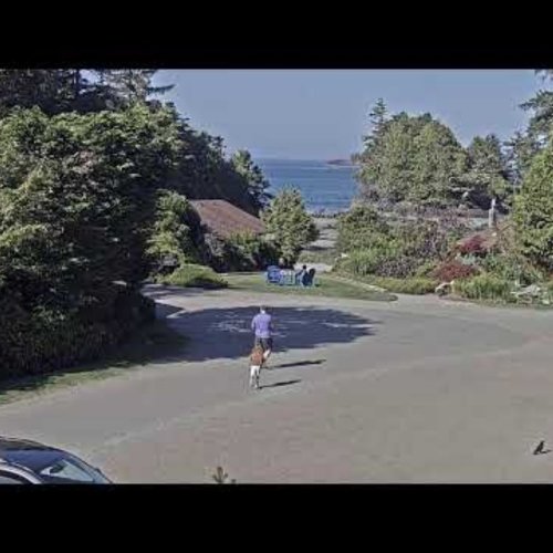 Crystal Cove Beach Resort Live Cam: Tofino Coastal Views 🇨🇦