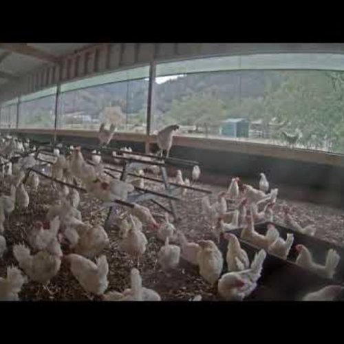Lübbecke Live Weather Camera: Real-Time Weather & Timelapse View in North Rhine-Westphalia