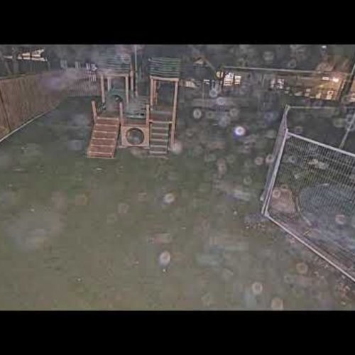 Dogwood Acres Pet Retreat Live Cam