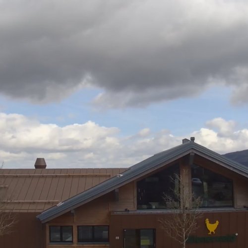 Experience the Scenic Harz National Park from Torhaus Harzresort Altenau 🏞️