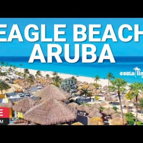 Eagle Beach Aruba Live Webcam Stream