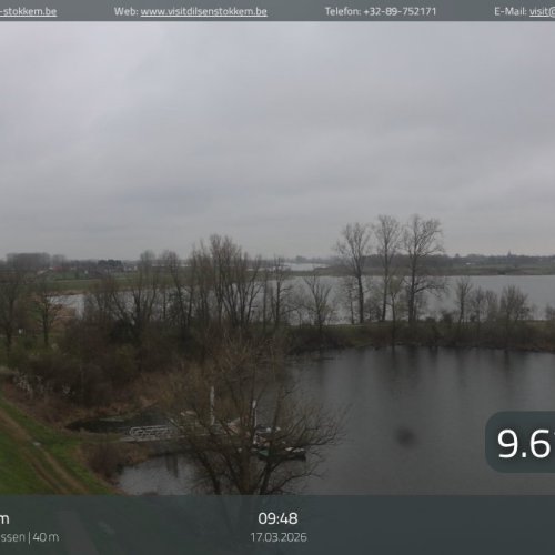 Dilsen-Stokkem Wetlands Live Webcam: De Wissen Nature Views