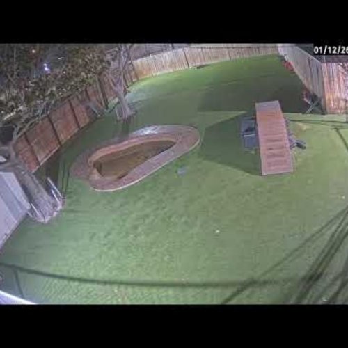 K9 Resorts Luxury Pet Hotel Katy Live Cam
