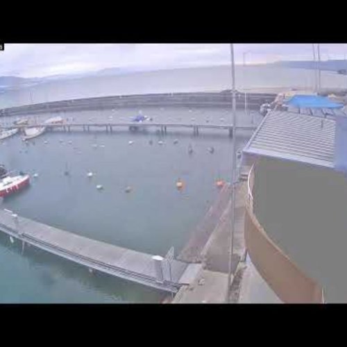 Port d'Yvonand Live: Lake Neuchâtel Marina Webcam
