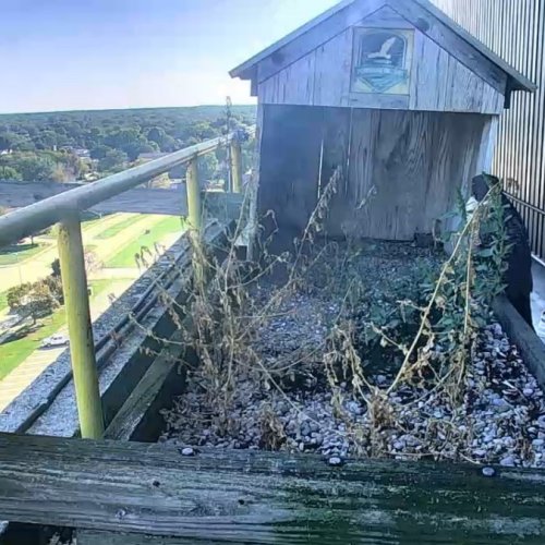 Warren Michigan Live Webcam: Lakeview Park & Golf Course View