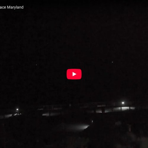 Live Havre de Grace Decoy Cam: Susquehanna River & Chesapeake Bay