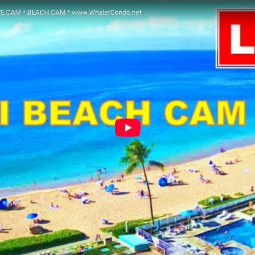 Kāʻanapali Beach Live Cam: Maui's Golden Shores