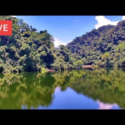 Experience The Serenity Of Cihu Lake In San Pablo, Philippines