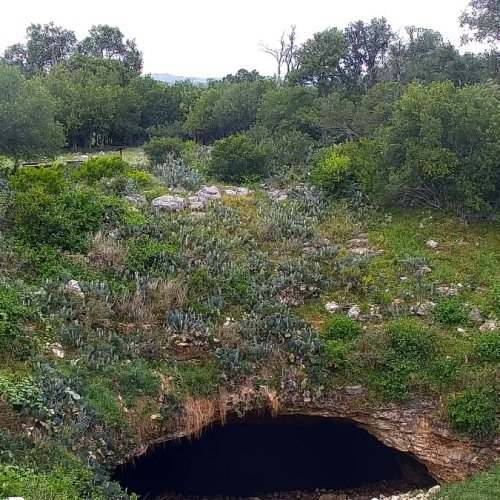 BCI Bracken Bat Cave Exterior Live View