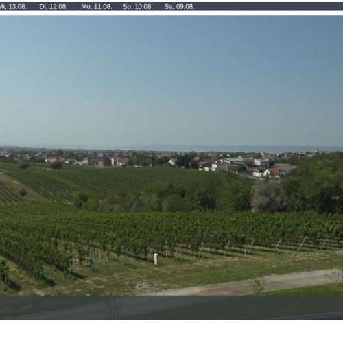 Gols, Austria: Live Vineyard & Lake Neusiedl Webcam