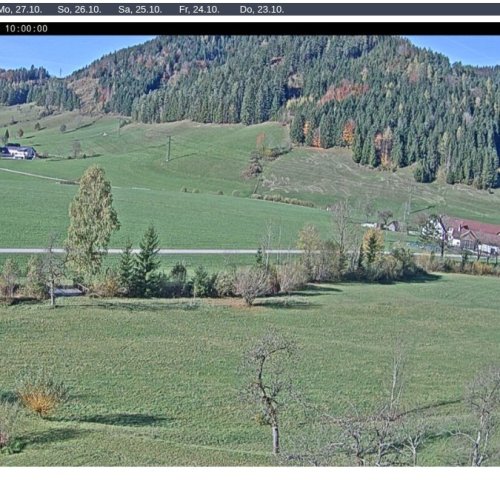 Prolling Ybbsitz Webcam: Live Views of Austrian Alpine Foothills