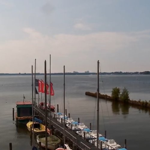 Müggelsee Watersports Live: Surfing & Sailing School Webcam Berlin