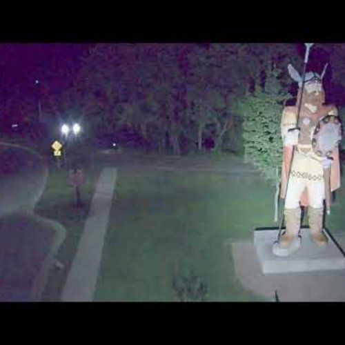 Big Ole Viking Statue, Alexandria Live Cam