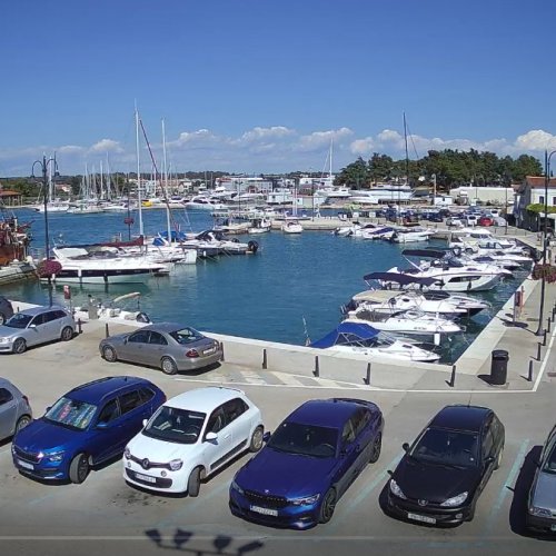 Experience Novigrad's Porporela Marina through Live Webcam