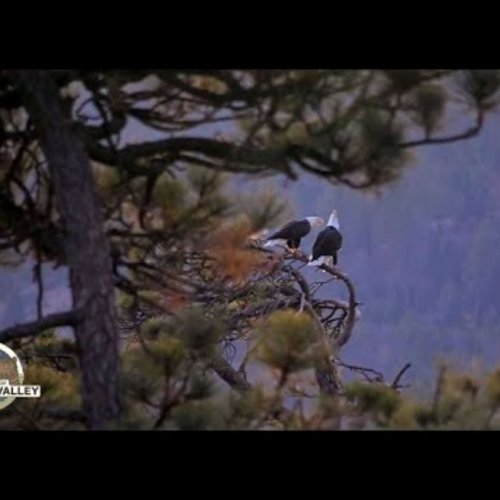 Big Bear Eagle Nest Wide View