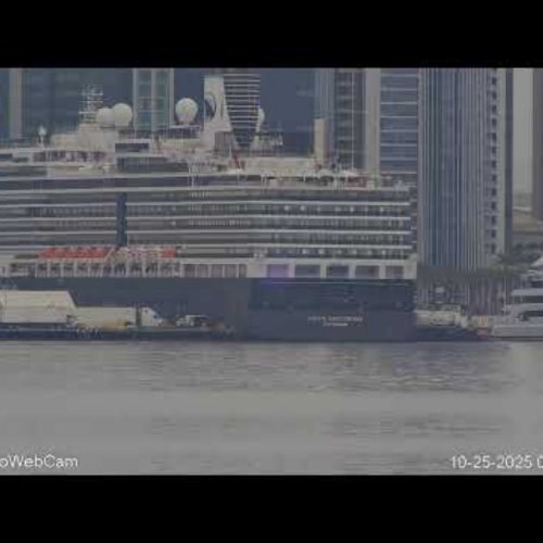 San Diego Harbor Island Live Webcam: Cruise Ships & City Skyline