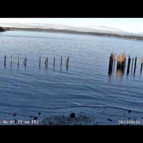 Shilshole Bay & Puget Sound Live View, Seattle