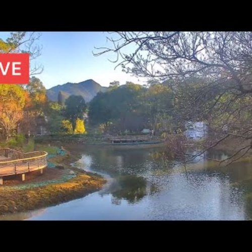 Jiaobanshan Ecological Lake Live Webcam: Fuxing, Taiwan Nature Views