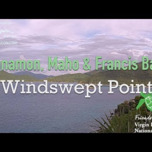 Windswept Point St. John Live Webcam: Cinnamon, Maho & Francis Bays