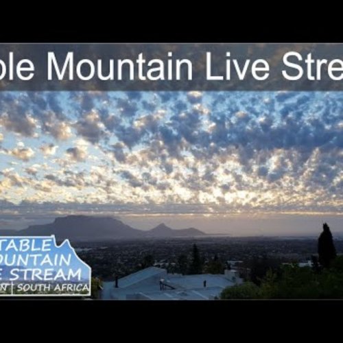 Table Mountain Panorama Live: Iconic Views of Cape Town, South Africa