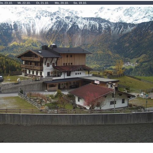 Live From Der Veitenhof, Niederthai: Alpine Views & Equestrian Life