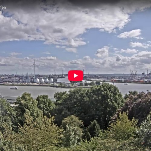 Live View of Hamburg Port: Elbe River & Container Terminal