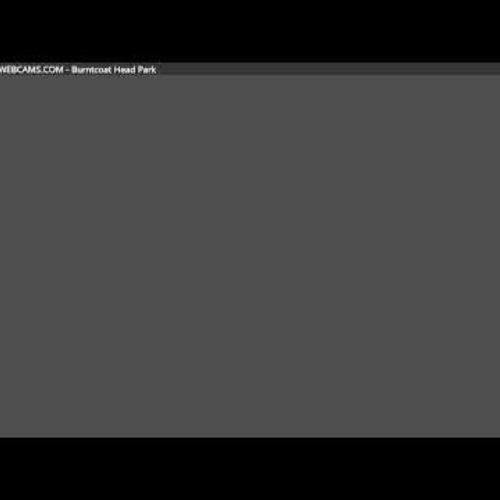 Burntcoat Head Park Live Webcam: World's Highest Tides, Nova Scotia