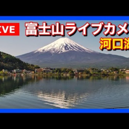 Mount Fuji Live Stream from Lake Kawaguchiko Shore