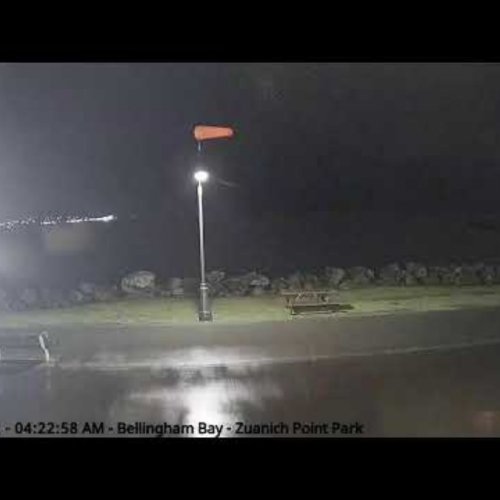 Live from Zuanich Point Park: Bellingham Bay Views 🌟