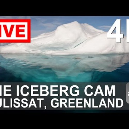 Ilulissat Iceberg Live Stream | Witness Nature's Majesty