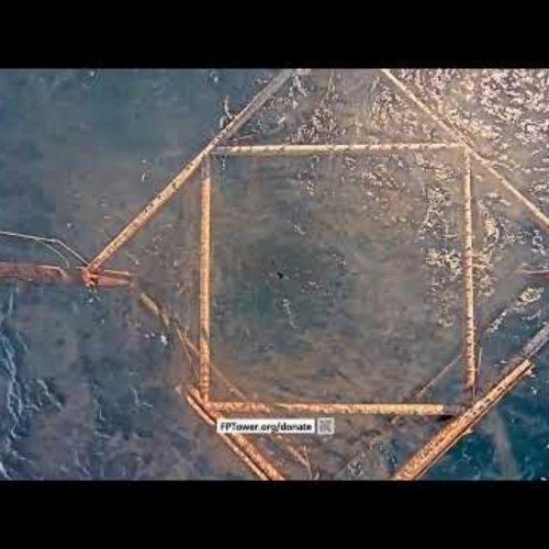 Live from Bald Head Island: Belly Cam Frying Pan Tower 🌊