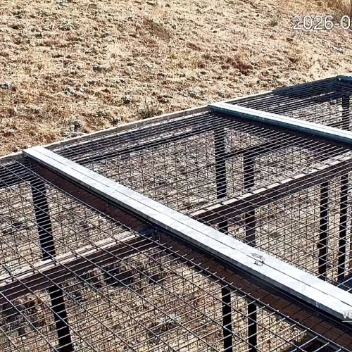Condor Pen Live Camera in Slates Hot Springs, California