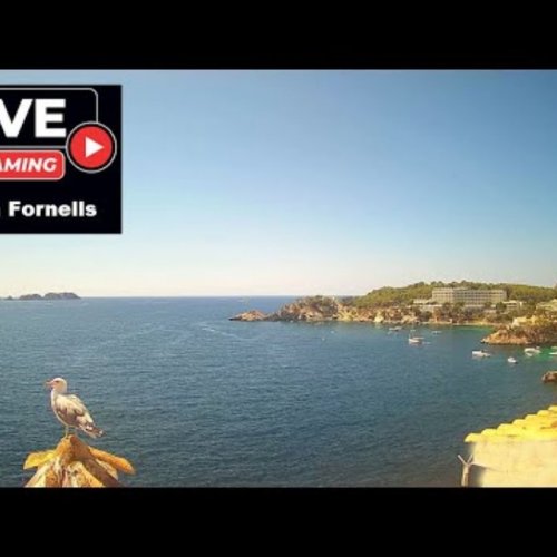Cala Fornells Paguera Bay Live Webcam, Mallorca