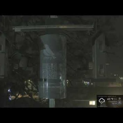 Big Bear Lake Bird Feeder Live Cam | Wildlife & Weather