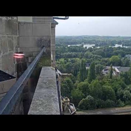 Oudenaarde Peregrine Falcon Live Webcam