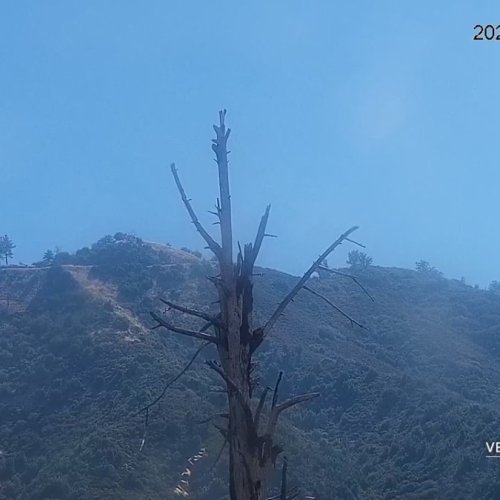 Condors Castle Nest Live Camera | Notleys Landing, Monterey County